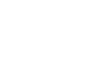 acompanantes